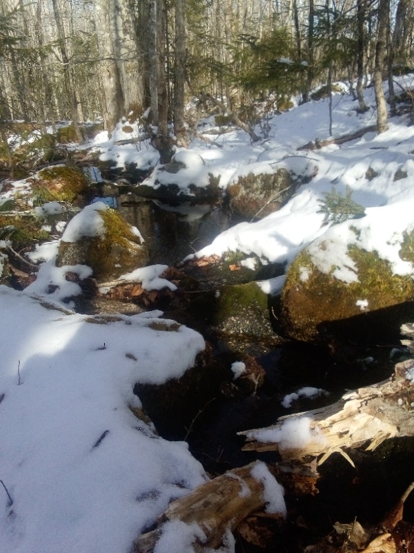 Selling 66 acres of land. Land for Sale Annapolis Valley Kijiji