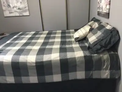 Queen size comforter set two pillows and a small pillow., View more
