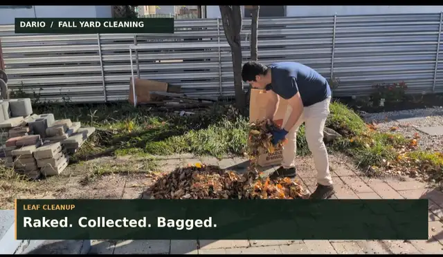  FALL YARD CLEANUP — WINNIPEG 601409105387202562