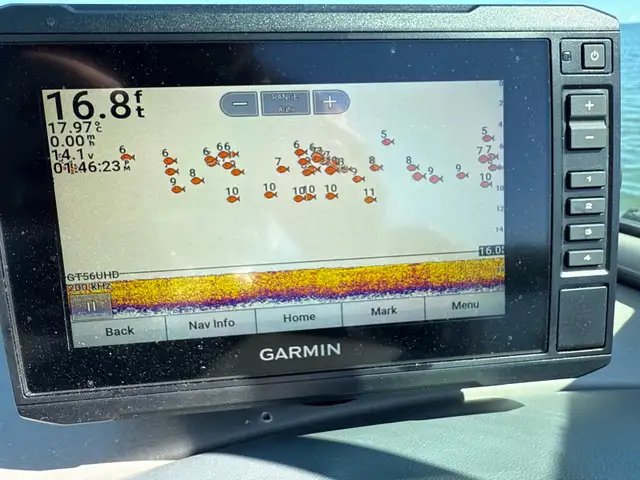 Lund Tyee 1900 in Powerboats & Motorboats in Edmonton - Image 10