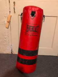 Punching bag Everlast