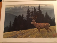 Black tailed Deer print - Robert Bateman