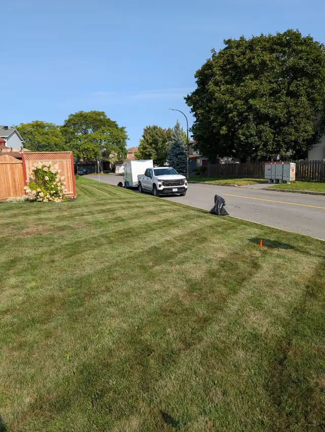 Rico's Lawn Care - Orleans #1 Lawn Mowing Services! in Lawn, Tree Maintenance & Eavestrough in Ottawa - Image 3