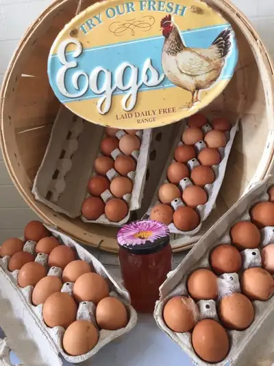 FREE  RANGE  FARM EGGS FOR SALE, View more