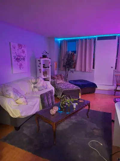 room for rent in 2 bedroom apartment