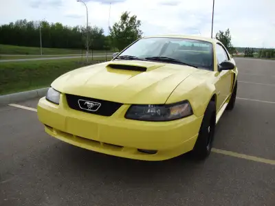 Fur sail one (1) 2002 Ford Mustang GT in the wind, on the market, ↓2f or whatever else jargon cooler...