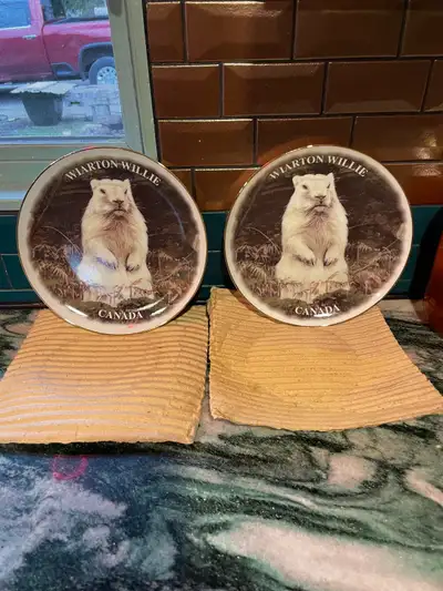 Wiarton Willie collector plates 2001, View more