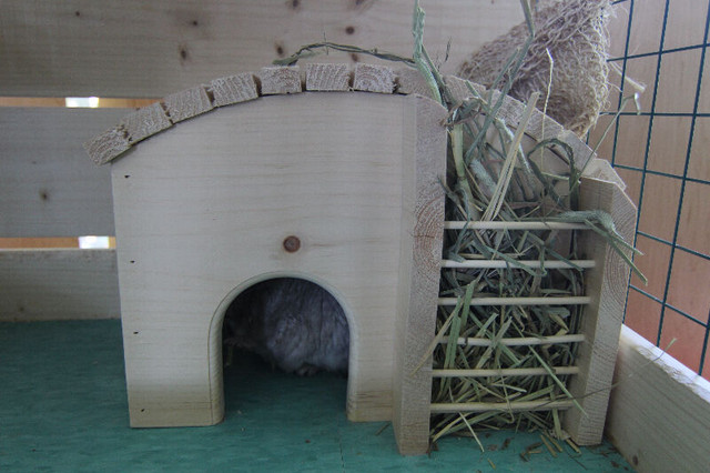 Custom-Built Small Animal Houses in Accessories in City of Toronto - Image 4