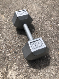 Cast Iron Hex Single 20 Pound Dumbell