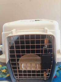 Dog or cat small crate mint condition 