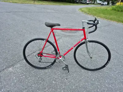 Fiori Modena x Large road bicycle, View more