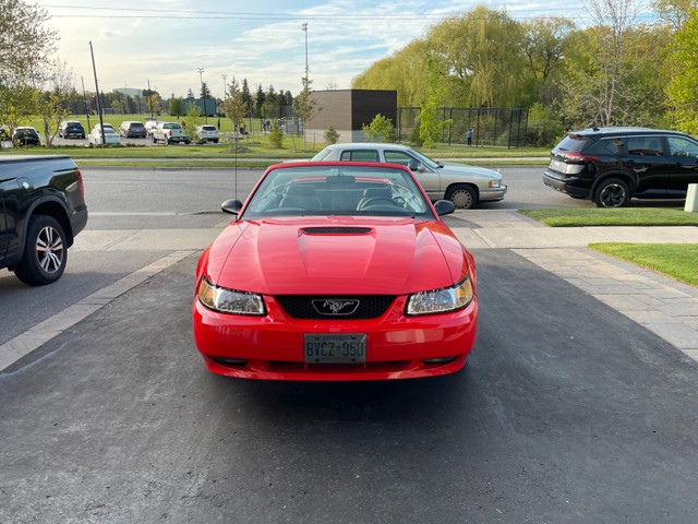 2000 Mustang GT.    in Cars & Trucks in Oshawa / Durham Region - Image 2