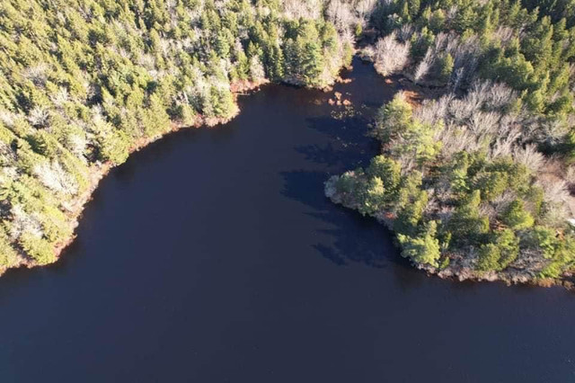 Lake Frontage 15 Minutes from Windsor in Land for Sale in City of Halifax - Image 2