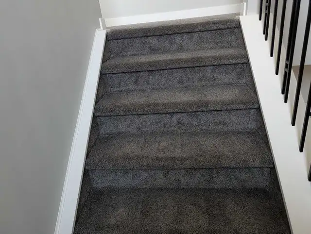 Carpet Cleaning605486184797972481