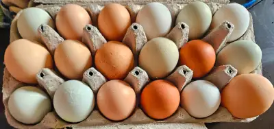 Description Fresh Free Range Chicken Eggs Not washed. (Reminder we do not except egg cartons being r...