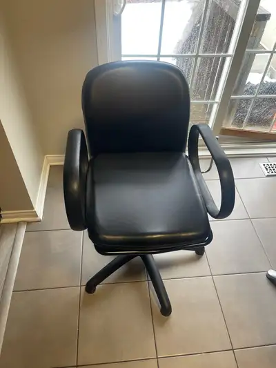 Salon Chair, View more