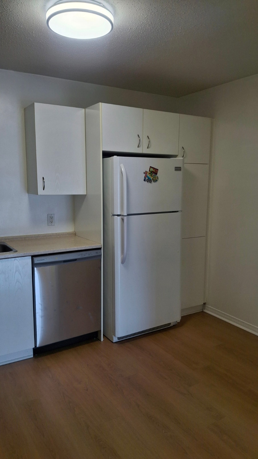 Sunny, spacious 4 1/2 apt in plateau with 5 appliances Oct 1st 3