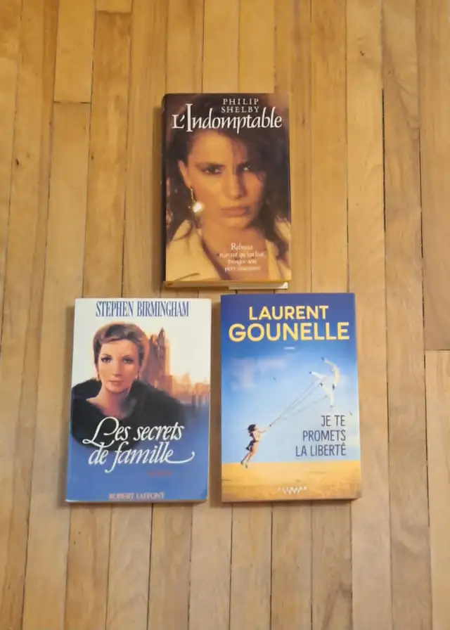 6 livres/$1. chacun. Anne Rice: LE LIEN MALÉFIQUE. Etc. in Fiction in Gatineau - Image 3