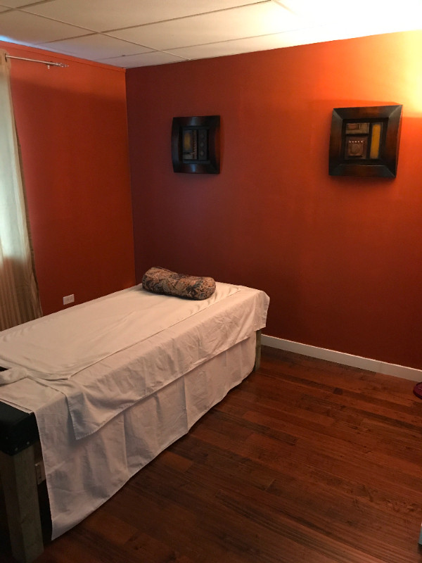 Professional acupuncture and massage therapy in Massage Services in Saskatoon - Image 4