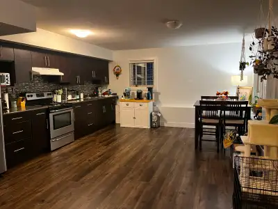 Roommate wanted
