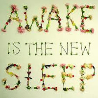 Ben Lee-Awake Is The New Sleep cd + bonus cd