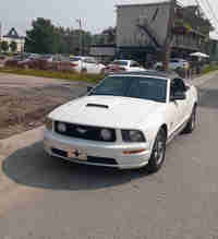 Mustang 2009 4L 200 000km 