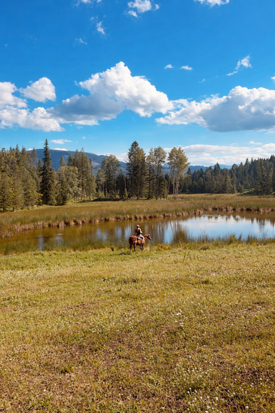 Check out MLS 10366370 FALKLAND BC 163 acres of paradise with lots of ponds, tons of grazing, a new...