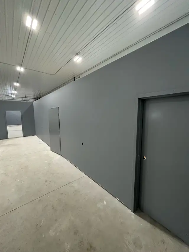 Affordable painter63235171019649124