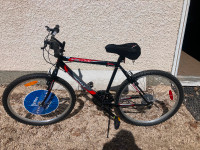 SUPERCYCLE bike for sale
