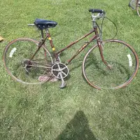 Vélo pour adulte 