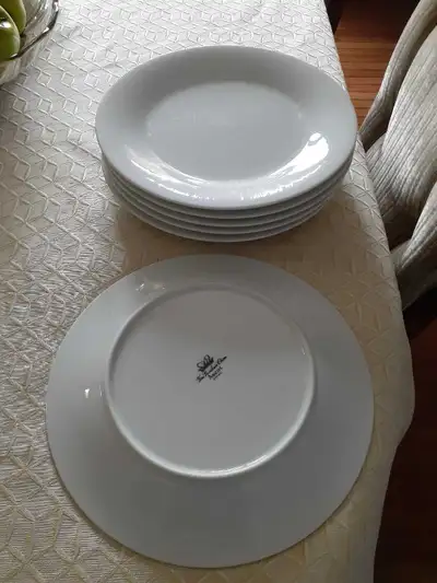 6 large diner plates in New search name on back, View more
