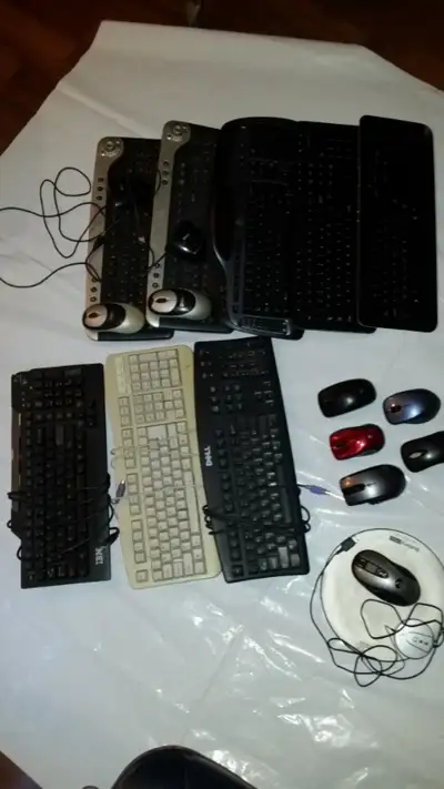 A box of older keyboards with a few mouses :), View more