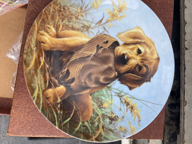 Collectable plates  in Arts & Collectibles in Sault Ste. Marie - Image 4