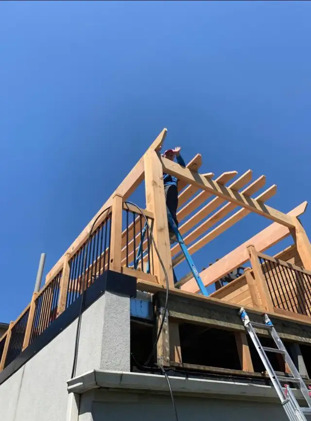 carpenter/Handyman492697886467051523