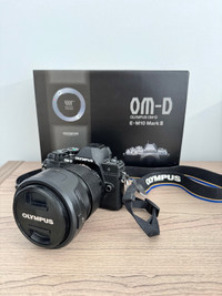 Olympus E-M10 Mark III + 12-40 F2.8 Pro lens