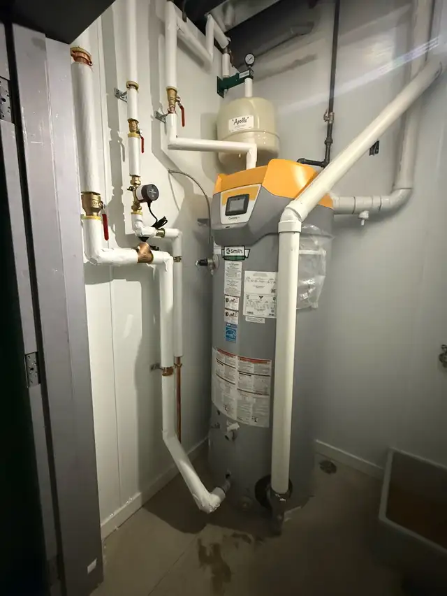LICENSED PLUMBER438828326003025922