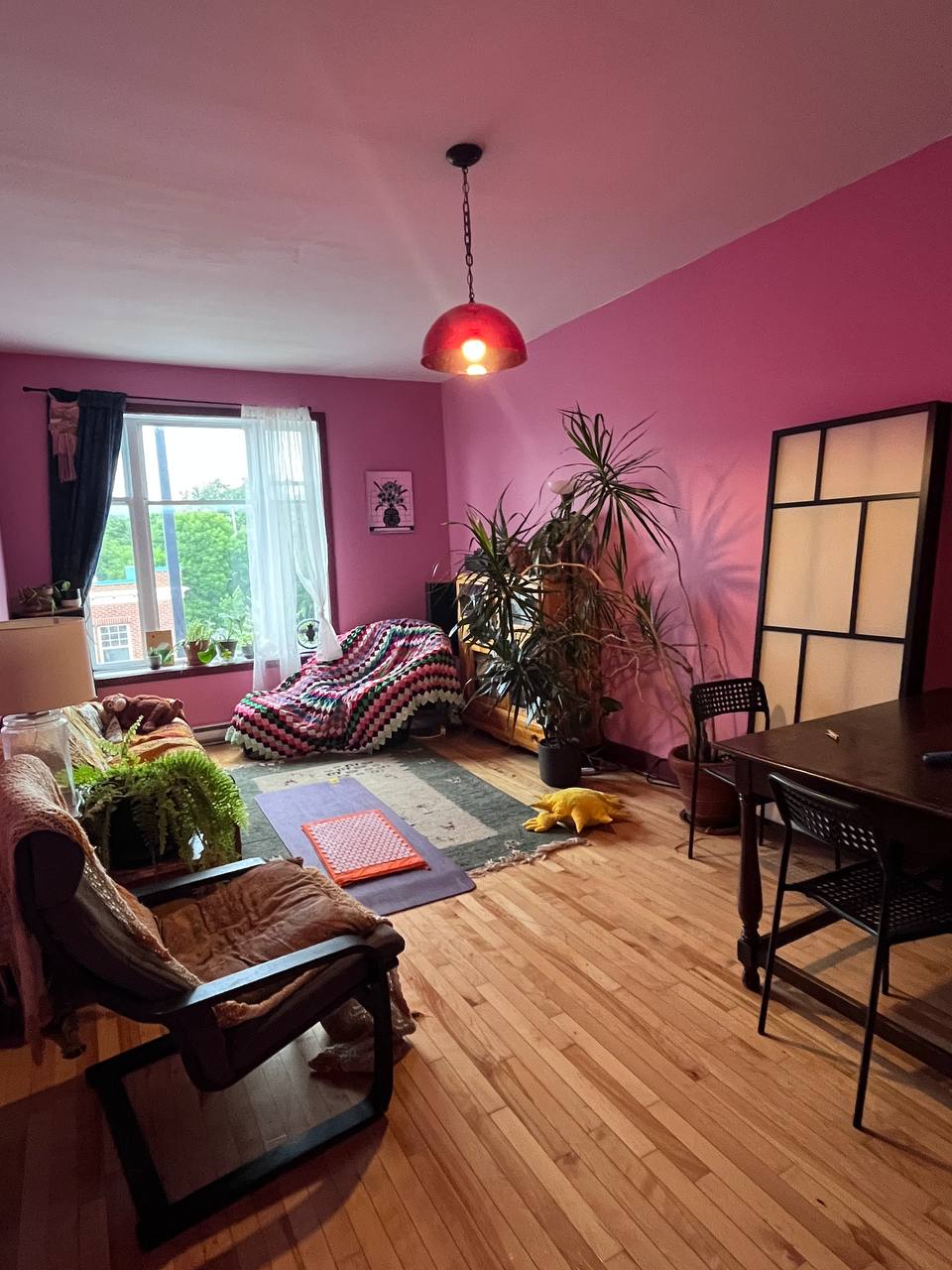 Room for rent in a large sunny plateau apartment — photo 2