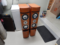 Digital Research DR1610 Tower speakers