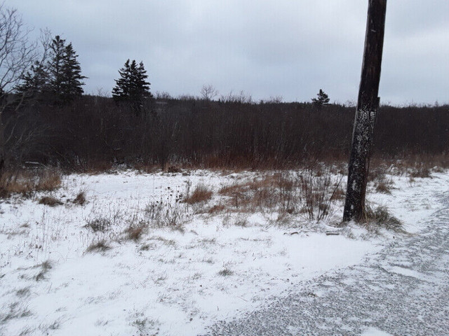 Building lot forsale Antigonish county in Land for Sale in New Glasgow - Image 3