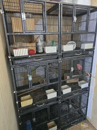 bird breeding cages , View more