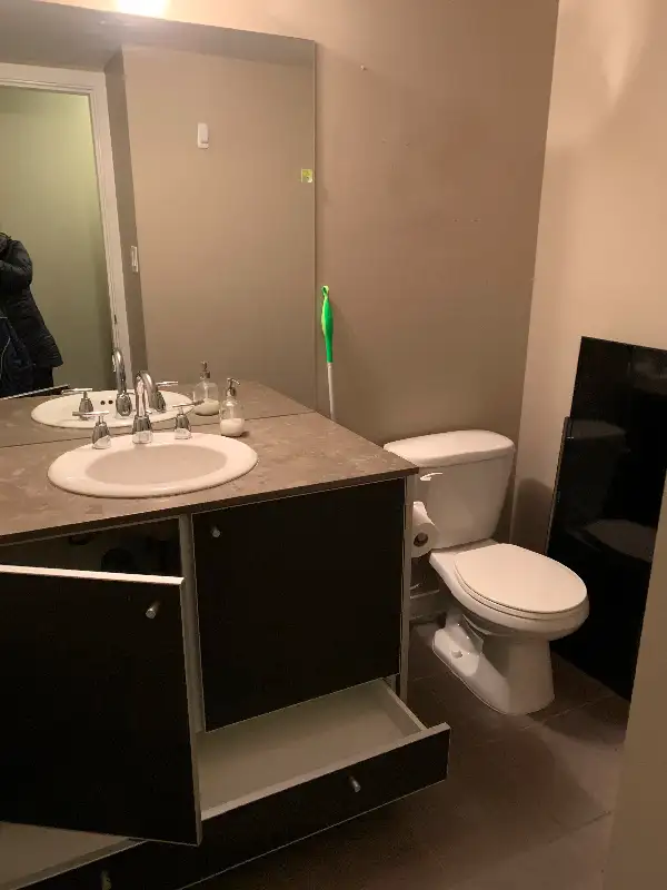 2-Bedroom High-Rise Apartment with Mt. Baker Views in Long Term Rentals in Delta/Surrey/Langley - Image 8