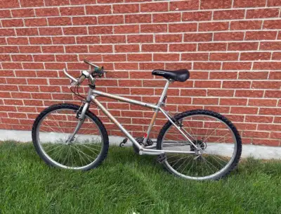 Vintage Raleigh Challenger Mountain Bike - project, View more