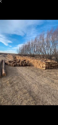 Dry Firewood/ Free Delivery 