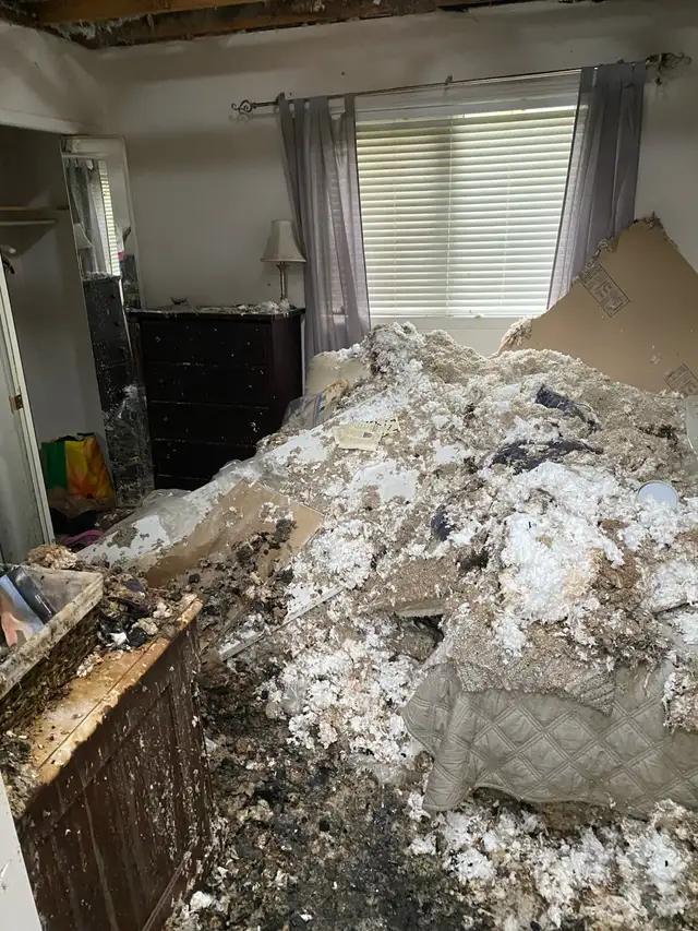 Demolition & Construction Services585559402160465922