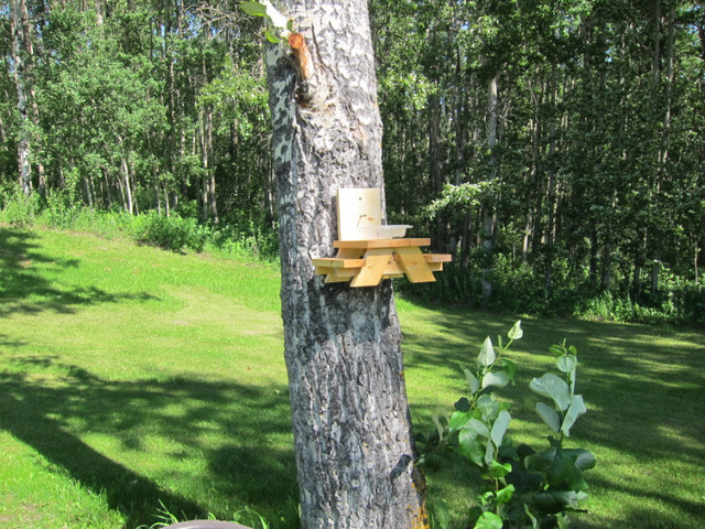 Squirrel Bird feeder, Condiments holder in Other in Strathcona County - Image 2