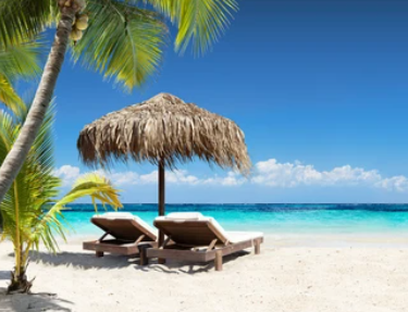 Apartment for rent-FLA in Florida in Canada - Image 3