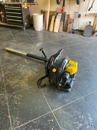 Backpack Leaf Blower, View more