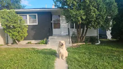 House for Rent to Pet Owner(s) / Separate Suite / Aug 1
