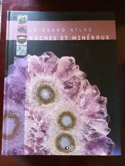 Acheté neuf chez Renaud Bray a 80$ avant taxes. 250 pages