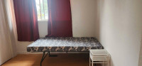 1 Small room available in 3 bedroom house 